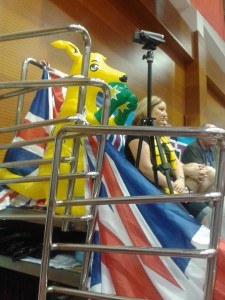 The Aussie kangaroo has taken up residence in 'our' part of the stands